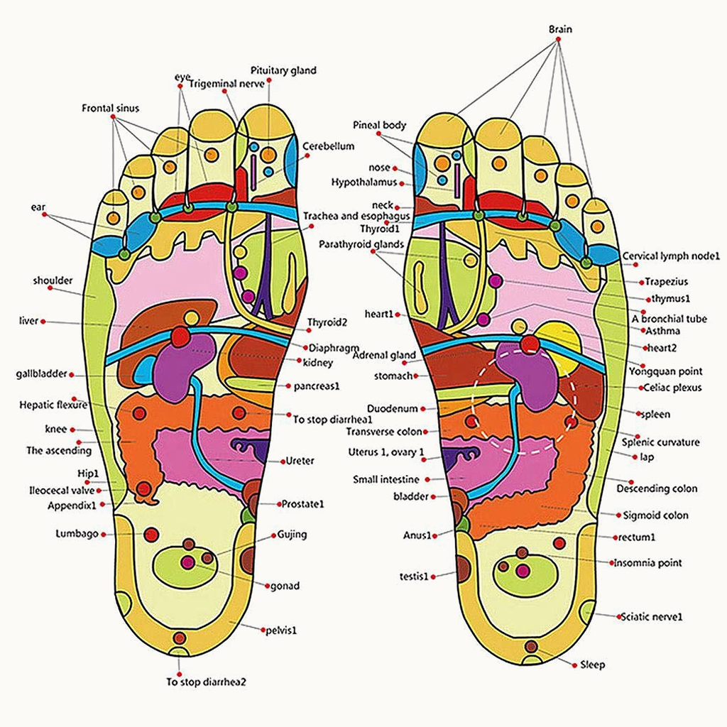 Massagetofflor (Zonterapi)